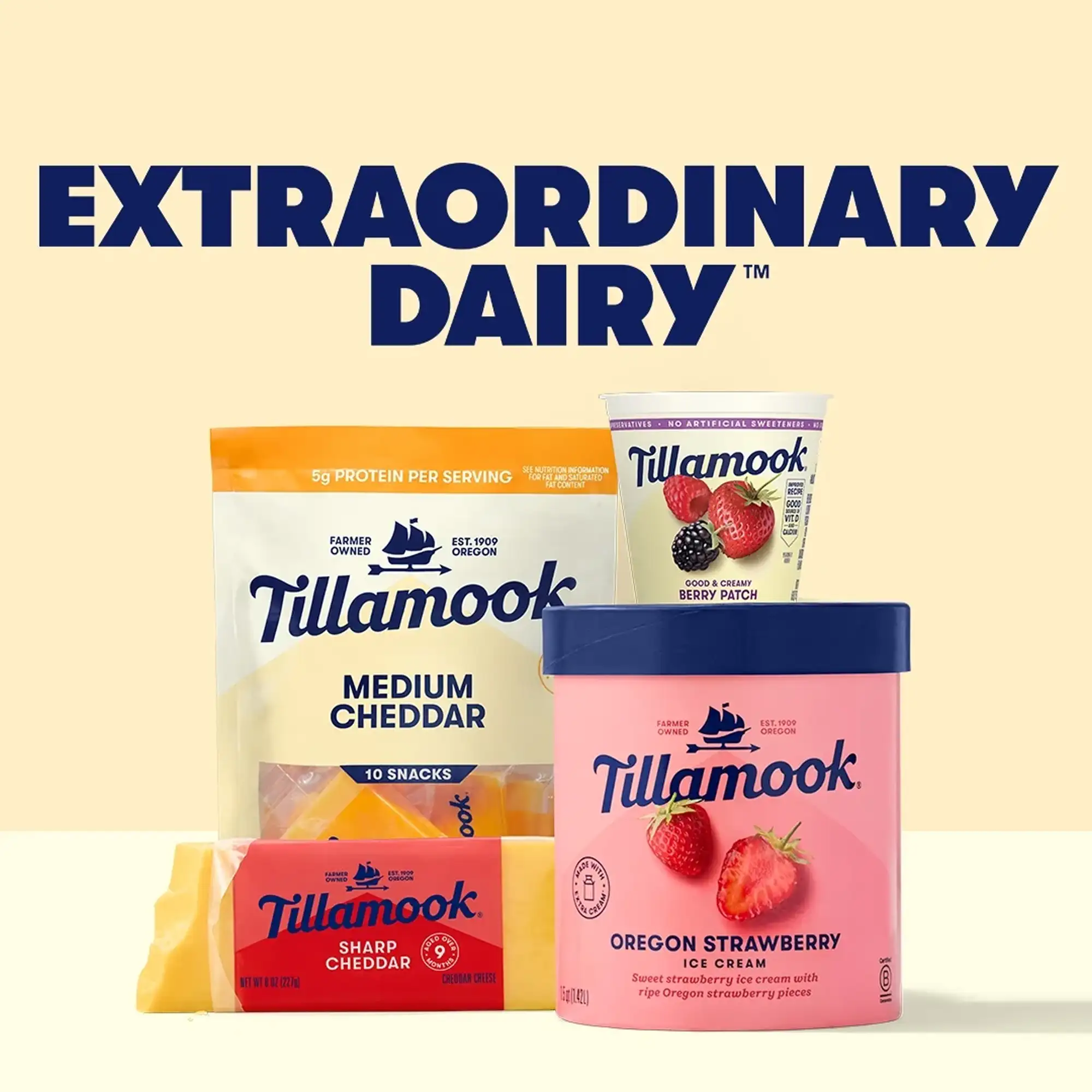 Tillamook Marionberry Greek Yogurt Blended 14g Protein per Serving 5.3 oz - Görsel 2