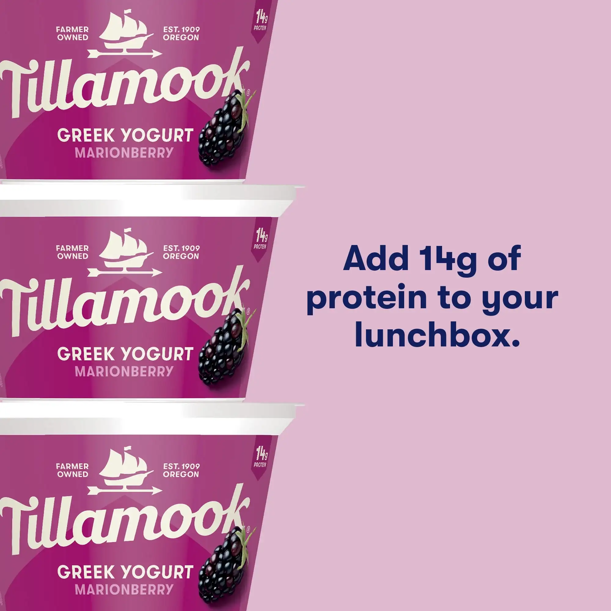 Tillamook Marionberry Greek Yogurt Blended 14g Protein per Serving 5.3 oz - Görsel 3