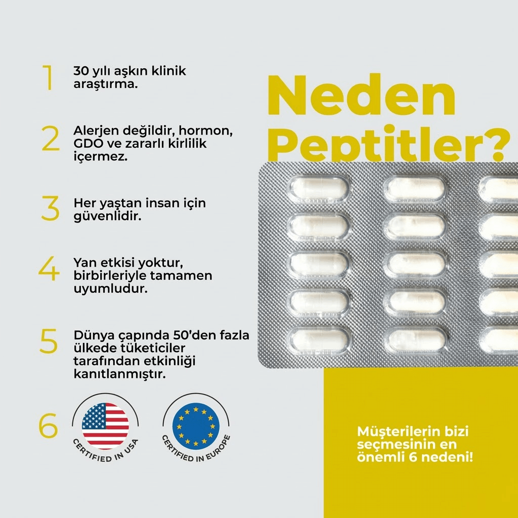 Chitomur A-12 Mesane Peptid Bioregülatörü - Görsel 3