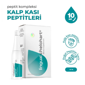 Chelohart A-14 Lingual Kalp Kası