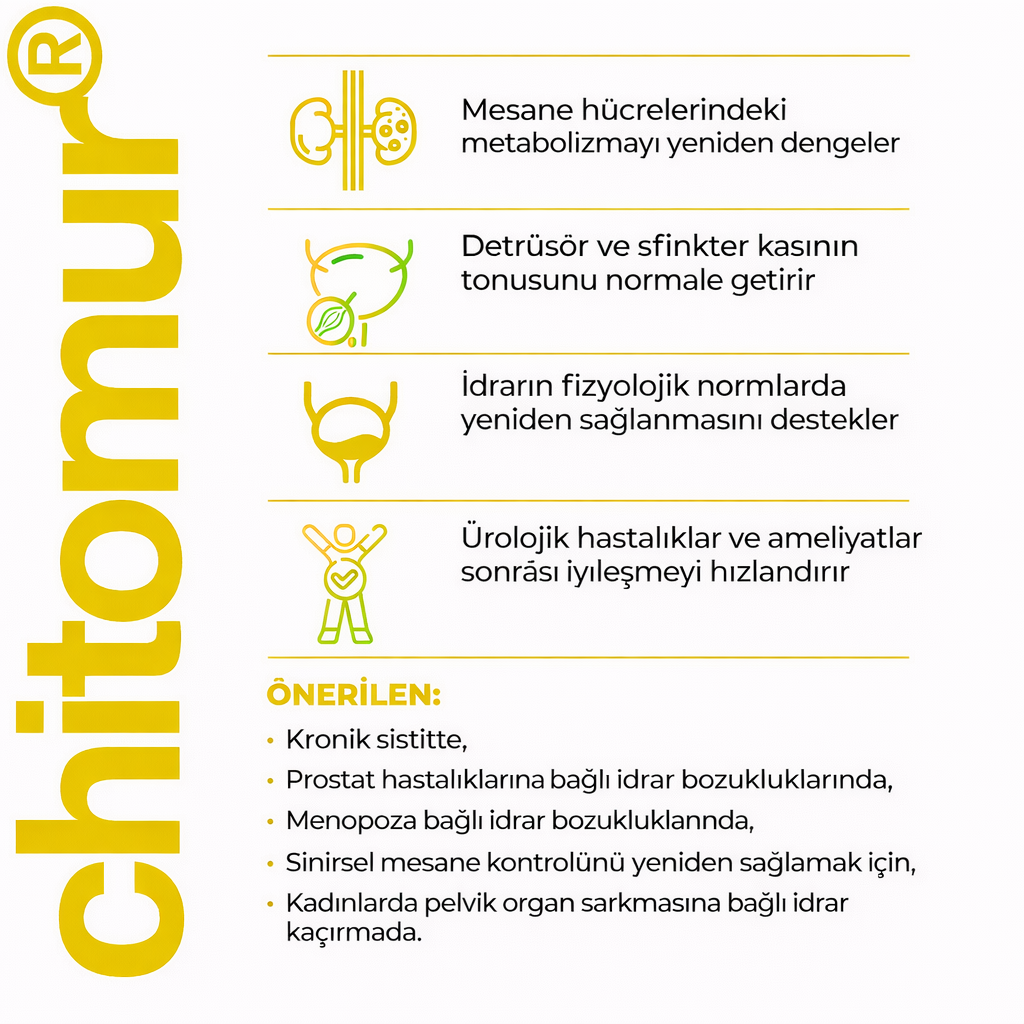 Chitomur A-12 Mesane Peptid Bioregülatörü - Görsel 4