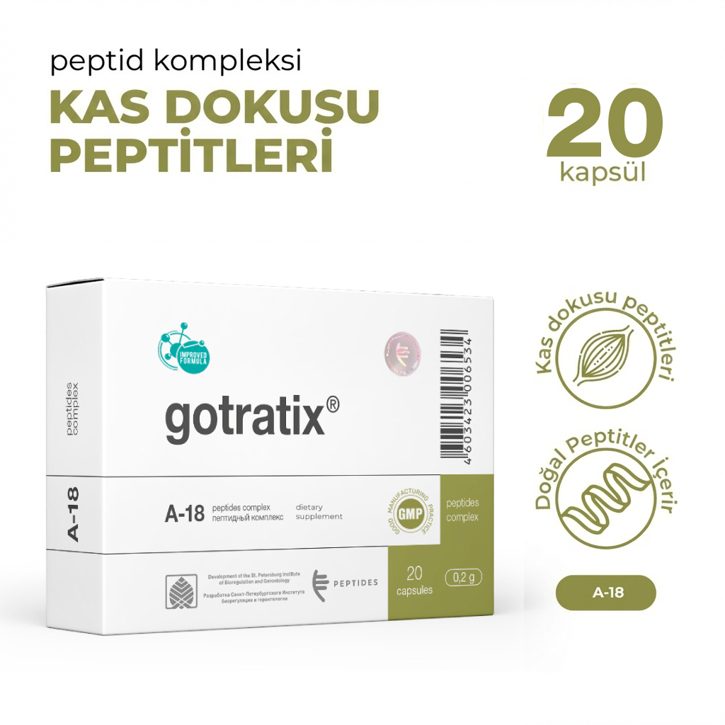 Gotratix A-18 Kas Sistemi - Görsel 2