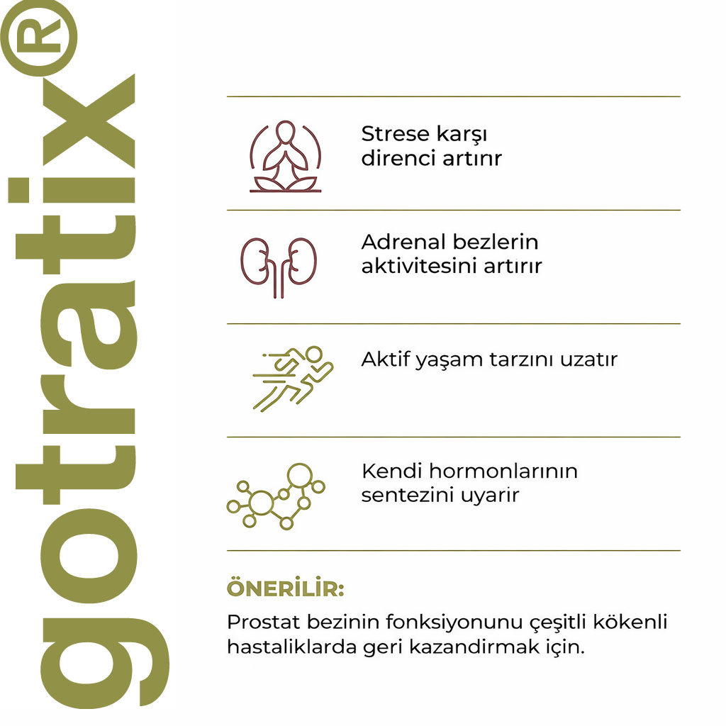 Gotratix A-18 Kas Sistemi - Görsel 4