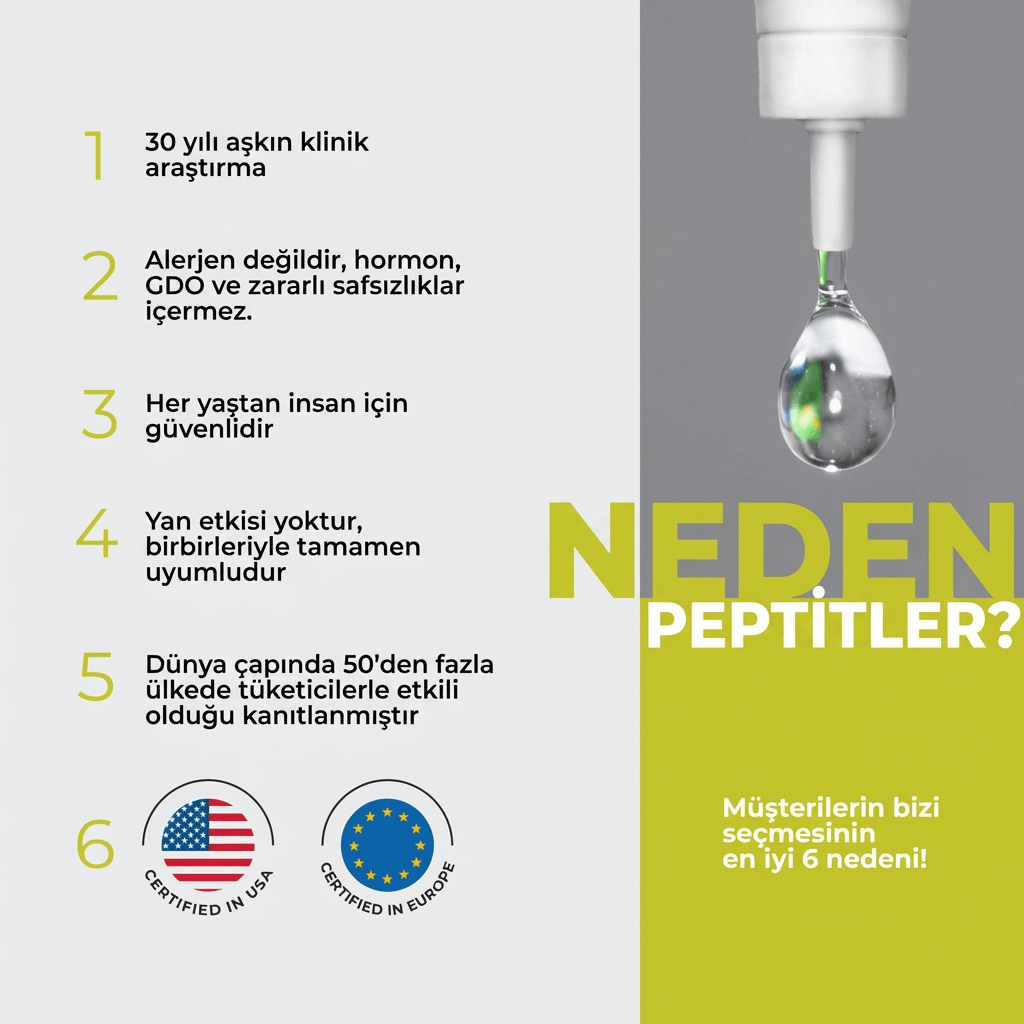 Testoluten Lingual A-13 - Testis Peptitleri - Görsel 2