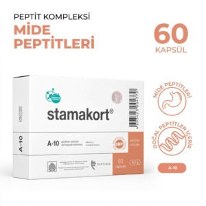 Stamakort A-10 Mide ve Sindirim Sistemi