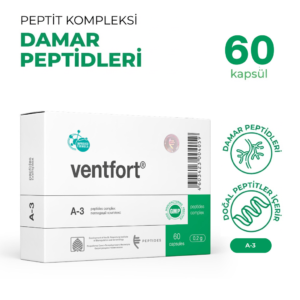 Ventfort A-3 Damar Sistemi